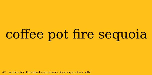 coffee pot fire sequoia