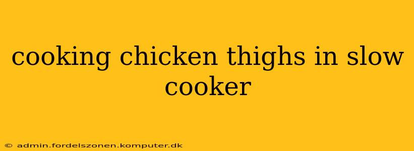 cooking chicken thighs in slow cooker