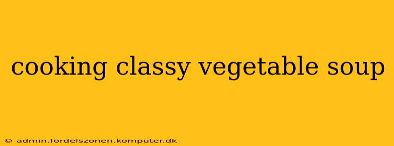 cooking classy vegetable soup