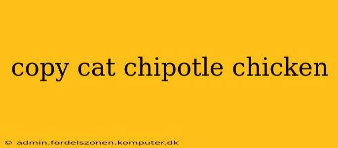copy cat chipotle chicken