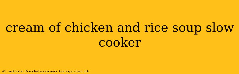 cream of chicken and rice soup slow cooker