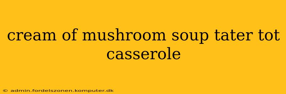 cream of mushroom soup tater tot casserole