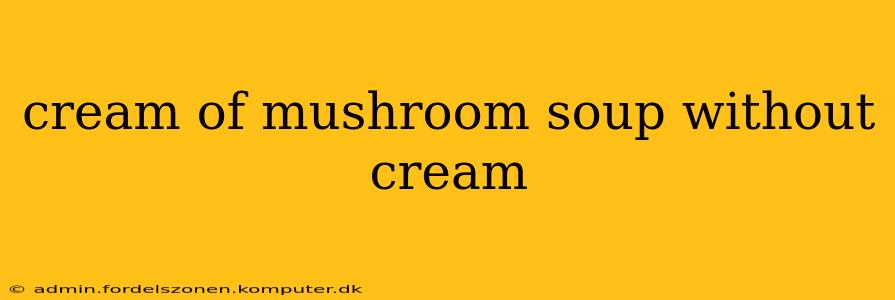 cream of mushroom soup without cream