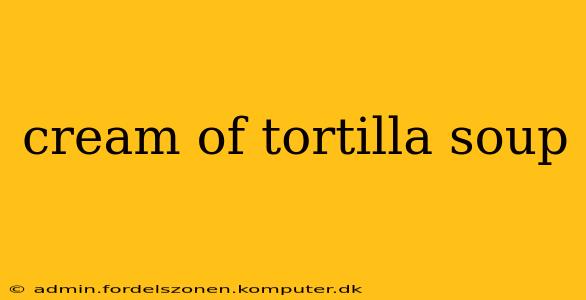 cream of tortilla soup