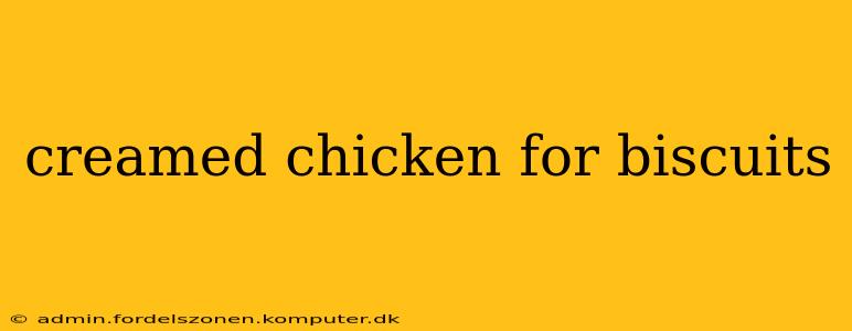 creamed chicken for biscuits