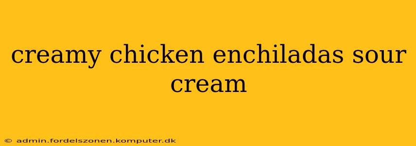 creamy chicken enchiladas sour cream