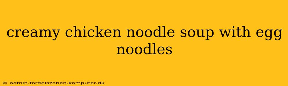 creamy chicken noodle soup with egg noodles