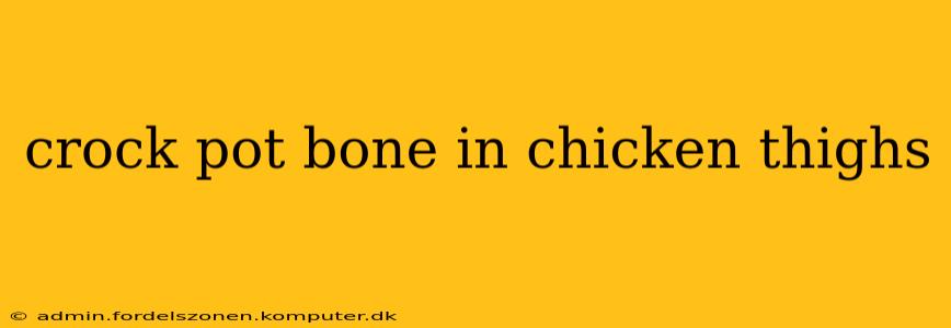crock pot bone in chicken thighs