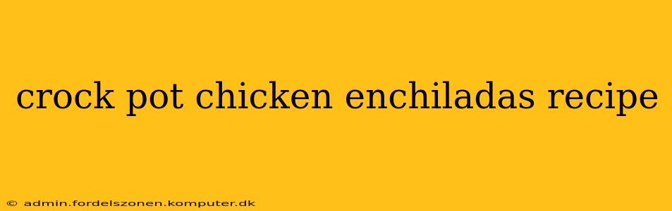 crock pot chicken enchiladas recipe
