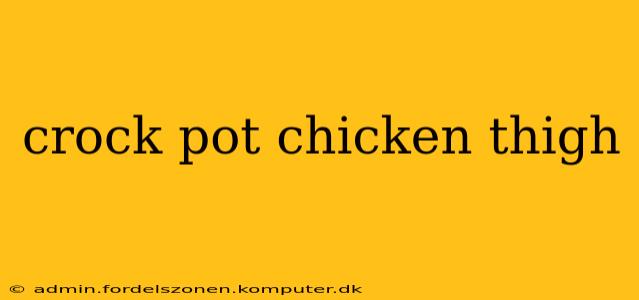crock pot chicken thigh