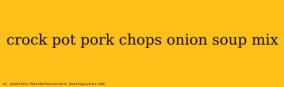 crock pot pork chops onion soup mix