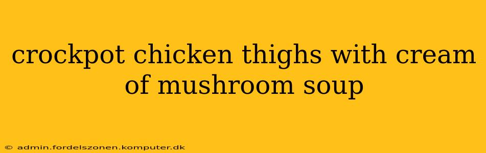crockpot chicken thighs with cream of mushroom soup