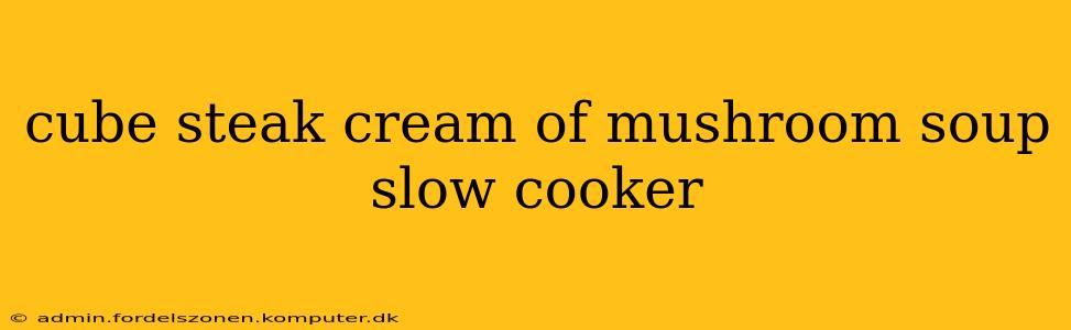 cube steak cream of mushroom soup slow cooker