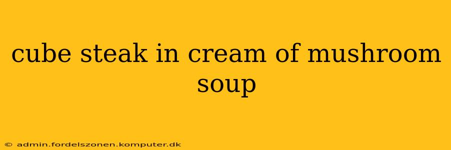 cube steak in cream of mushroom soup
