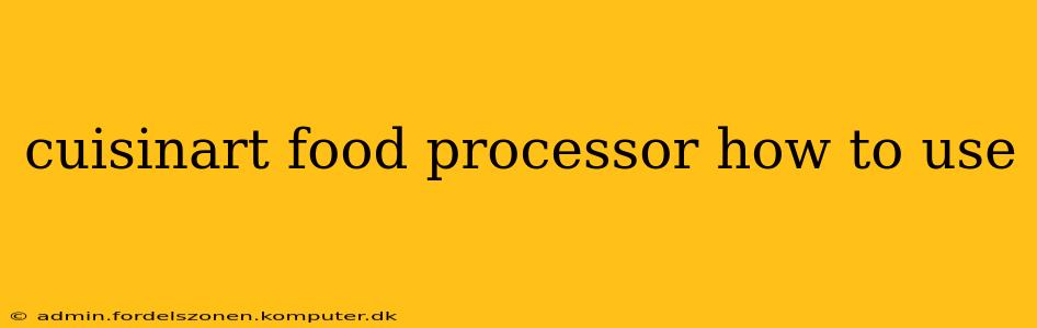 cuisinart food processor how to use