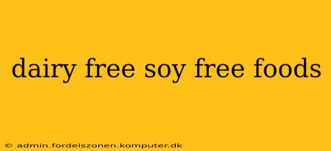 dairy free soy free foods