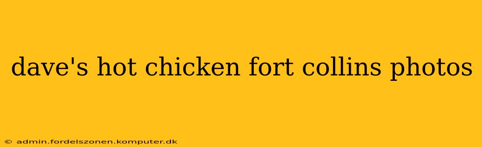 dave's hot chicken fort collins photos