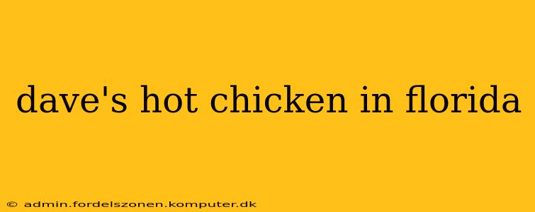 dave's hot chicken in florida