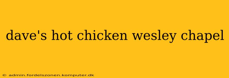 dave's hot chicken wesley chapel