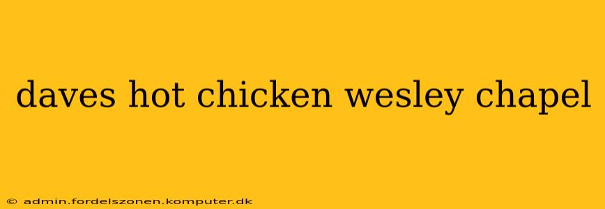 daves hot chicken wesley chapel