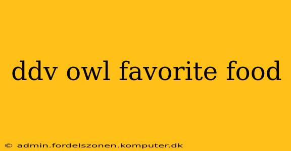 ddv owl favorite food