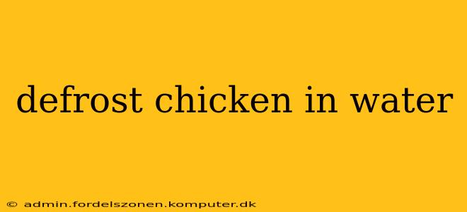 defrost chicken in water