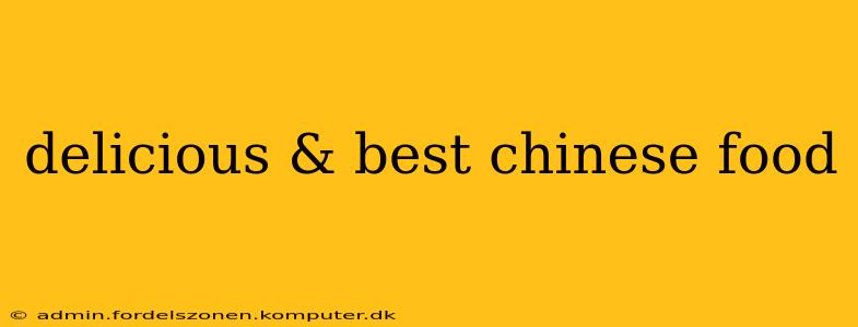 delicious & best chinese food