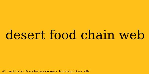 desert food chain web