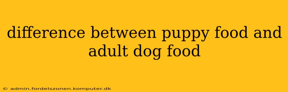 difference between puppy food and adult dog food