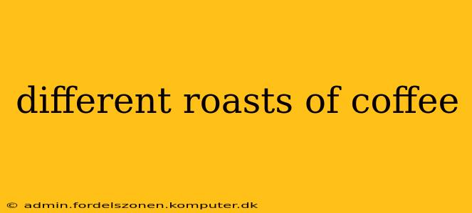 different roasts of coffee