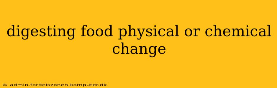 digesting food physical or chemical change