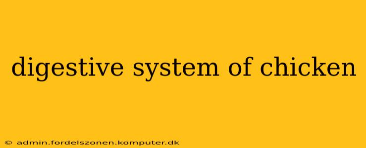 digestive system of chicken