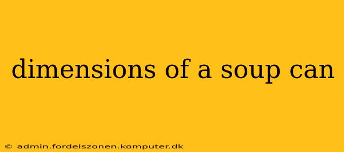 dimensions of a soup can