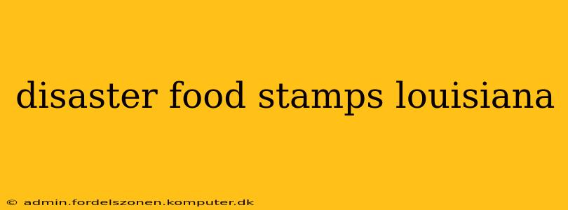 disaster food stamps louisiana