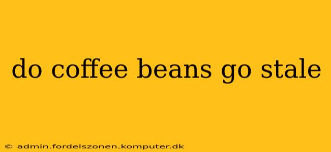 do coffee beans go stale