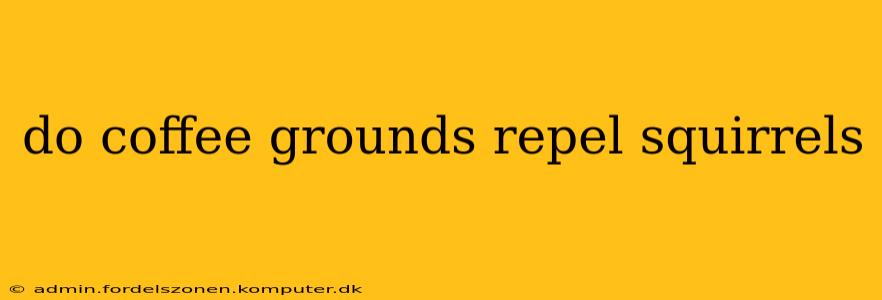 do coffee grounds repel squirrels