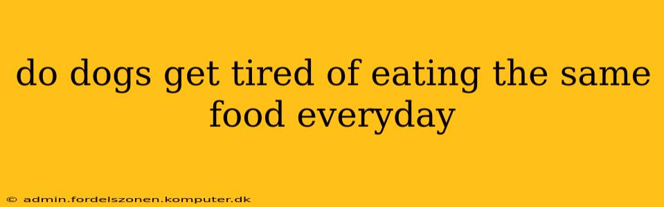 do dogs get tired of eating the same food everyday