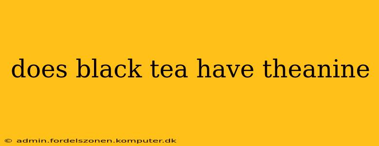 does black tea have theanine