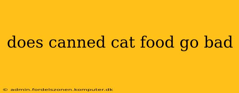 does canned cat food go bad