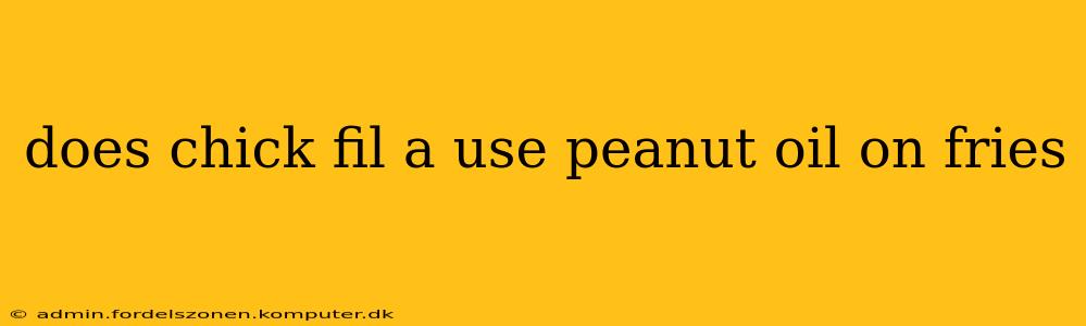 does chick fil a use peanut oil on fries