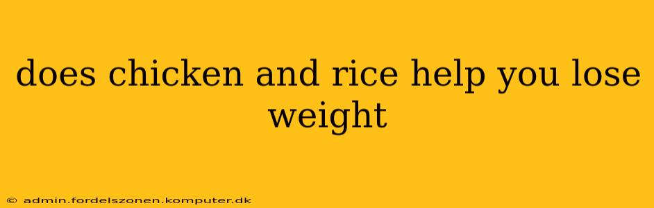 does chicken and rice help you lose weight