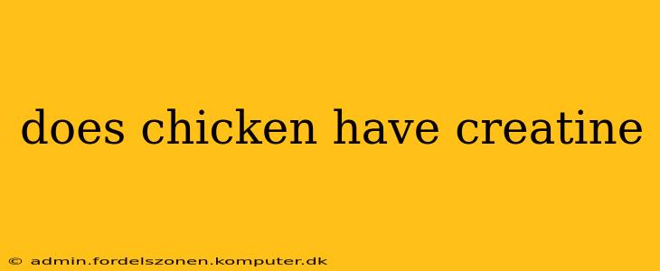 does chicken have creatine