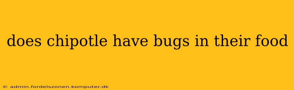 does chipotle have bugs in their food