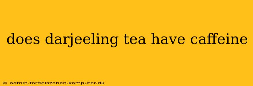 does darjeeling tea have caffeine