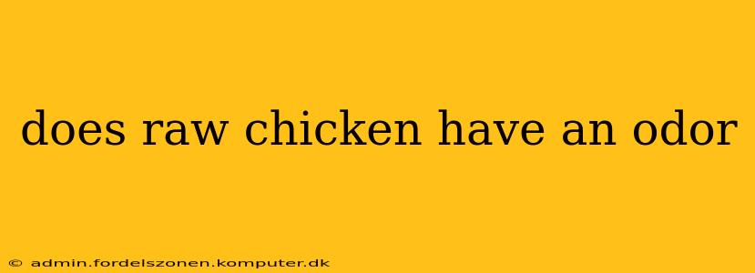 does raw chicken have an odor