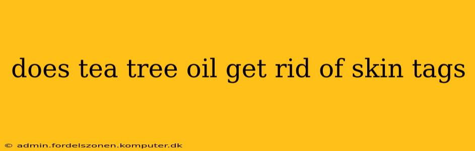 does tea tree oil get rid of skin tags