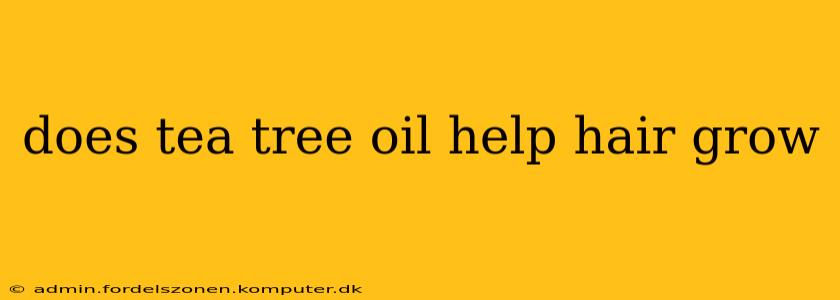 does tea tree oil help hair grow