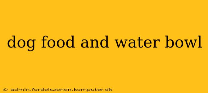 dog food and water bowl
