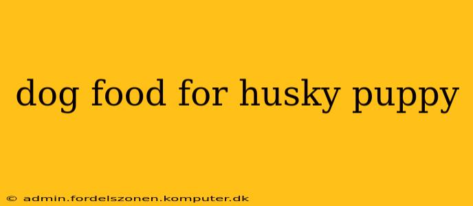 dog food for husky puppy
