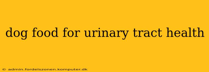 dog food for urinary tract health